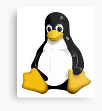 Linux Penguin Metal Print