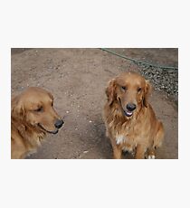 Joyous Photographic Print