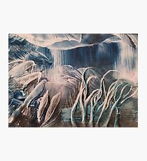 Ice cave Photographic Print