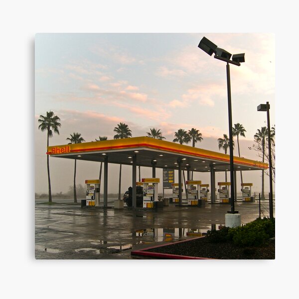 californian oasis Canvas Print