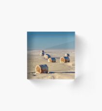 Prairie Frosted Wheats Acrylic Block