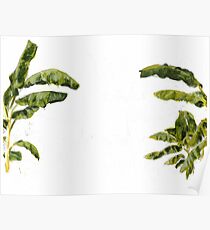 Tropical Banana Tree Poster