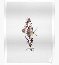 Kendrick Lamar Graphic "TO PIMP A BUTTERFLY" Poster
