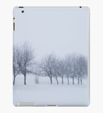 Trees in Snowstorm iPad Case/Skin