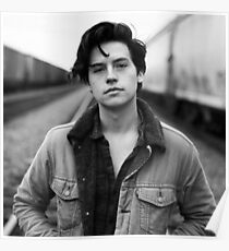 COLE SPROUSE SCHWARZWEISS Poster
