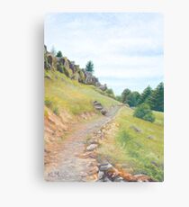 Tantanoola Track Canvas Print