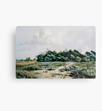 Gulf Islands National Seashore Metal Print
