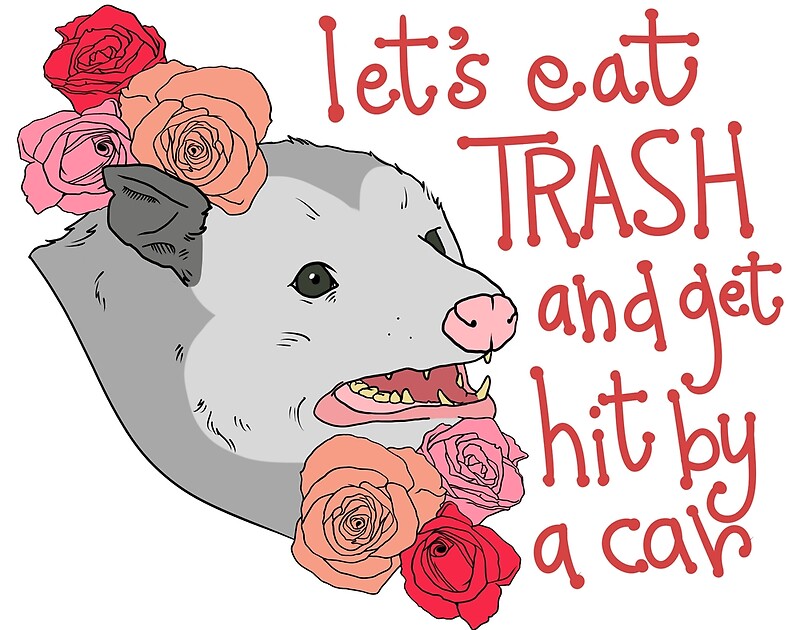 Let's Eat Trash - Possum Meme' by gloriavictoria.