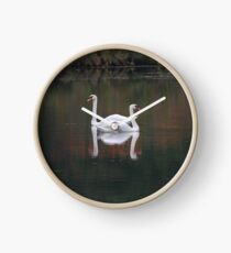 Höckerschwäne und Herbst Reflexionen Uhr