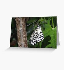 Paper Kite Greeting Card