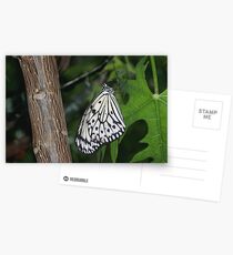 Paper Kite Postcards