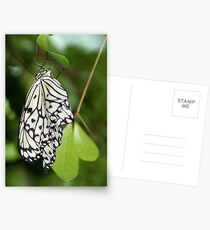 Paper Kite II Postcards