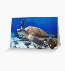 Green turtle Greeting Card