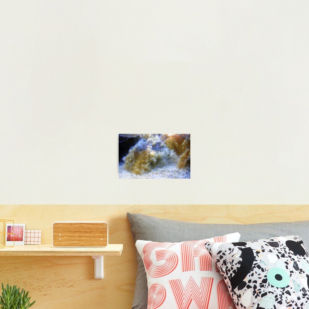Ode to a Salmon Photographic Print