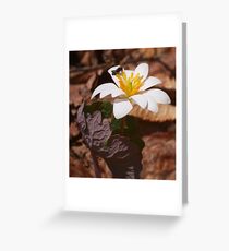 Open For Breakfast Greeting Card