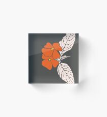 Bold Acrylic Block