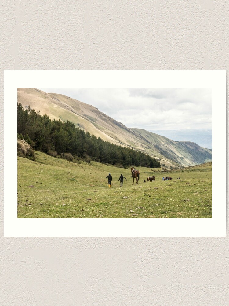 Alternate view of Horses in a valley of the Andes mountains, Ecuador Art Print