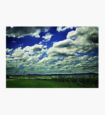 Hunter Valley Mount Pleasant Estate in Color Photographic Print