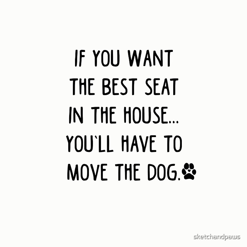 "If you want the best seat in the house...You'll have to move the dog