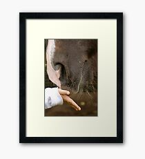 ForeverYoung-horse meeting Framed Print