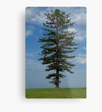 Magestic Metal Print