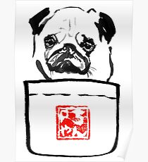 pocket carlin Poster