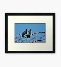 Lovie Dovie Framed Print