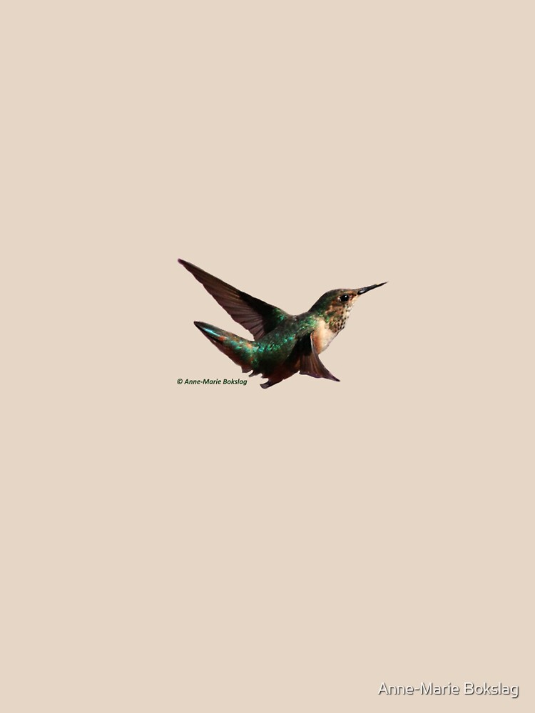 Hummingbird by amb1946
