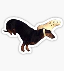 weenie and a croc Sticker