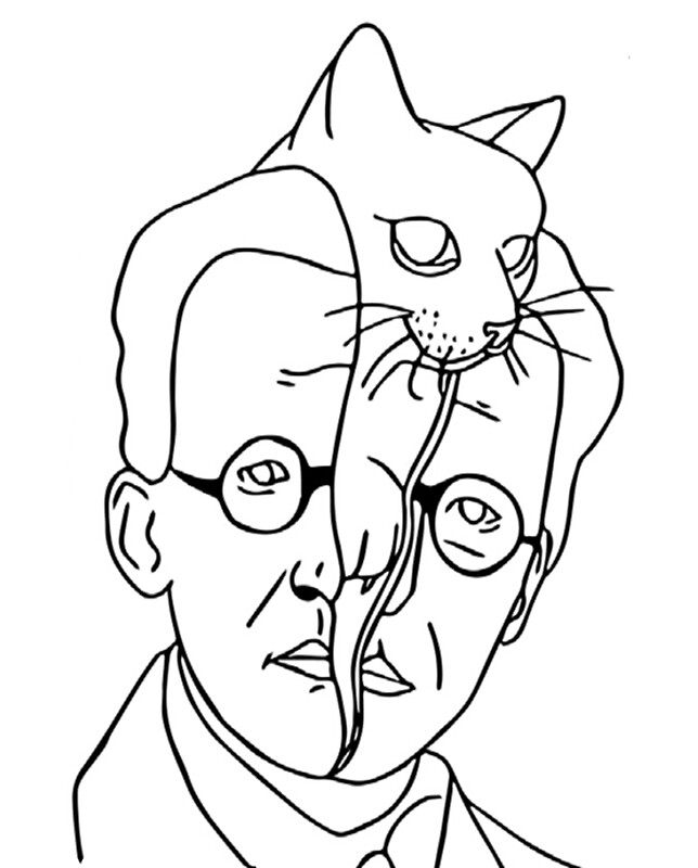 Шредингер кот