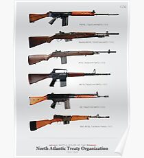 Battle Rifles of NATO Poster (23.4x32.3") Poster