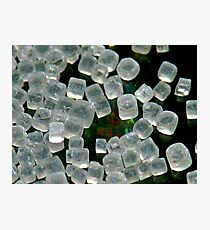Grains of Salt Photographic Print