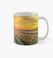 Sunset over colorful Tulip flower fields in full bloom spring season in Woodburn Oregon Mug