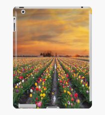 Sunset over colorful Tulip flower fields in full bloom spring season in Woodburn Oregon iPad Case/Skin