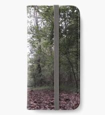 Fallen Leaves Trail Walk iPhone Wallet/Case/Skin