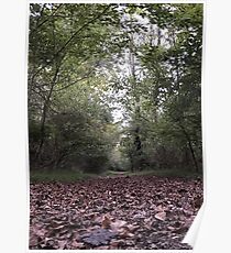Fallen Leaves Trail Walk Poster