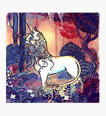 The last Unicorn Photographic Print