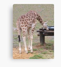 Easy Access Canvas Print