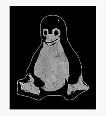 Linux Penguin Photographic Print