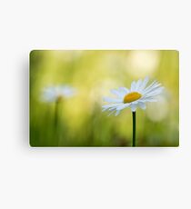 fresh green Canvas Print