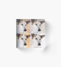 Sweet Pooch - In Four Shades Acrylic Block
