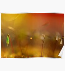 Stand Out From the Crowd Poster
