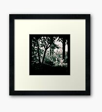 The Surreptitious Pixie Framed Print
