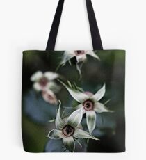 Curtain Call Tote Bag
