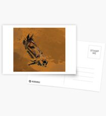 Pacer Postcards