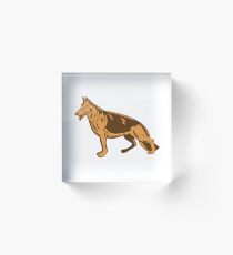 Bloque acrílico German Shepherd