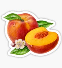 Peaches! Sticker