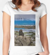Seal on a Rock Women's Fitted Scoop T-Shirt