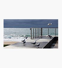 the light! at Burnie beach, with silver gulls Photographic Print