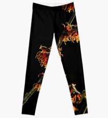 Witch Hazel In Sunlight Leggings